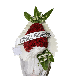 Kırmızı Gerbera Çelenk