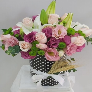 Kutuda  Güller  ve Bahar Çiçekleri